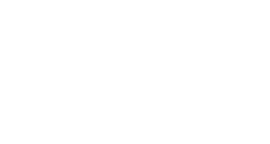 Reinsberg Group